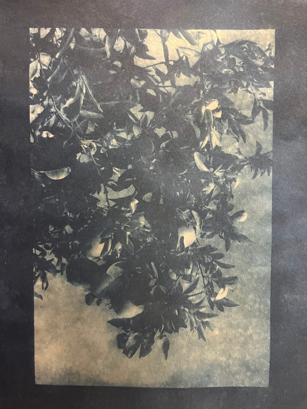 a weekend in&nbsp;january