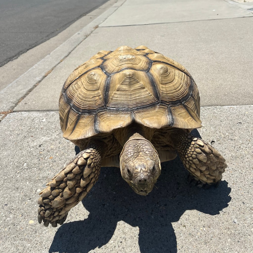 In Transit 3: the neighborhood&nbsp;nearby