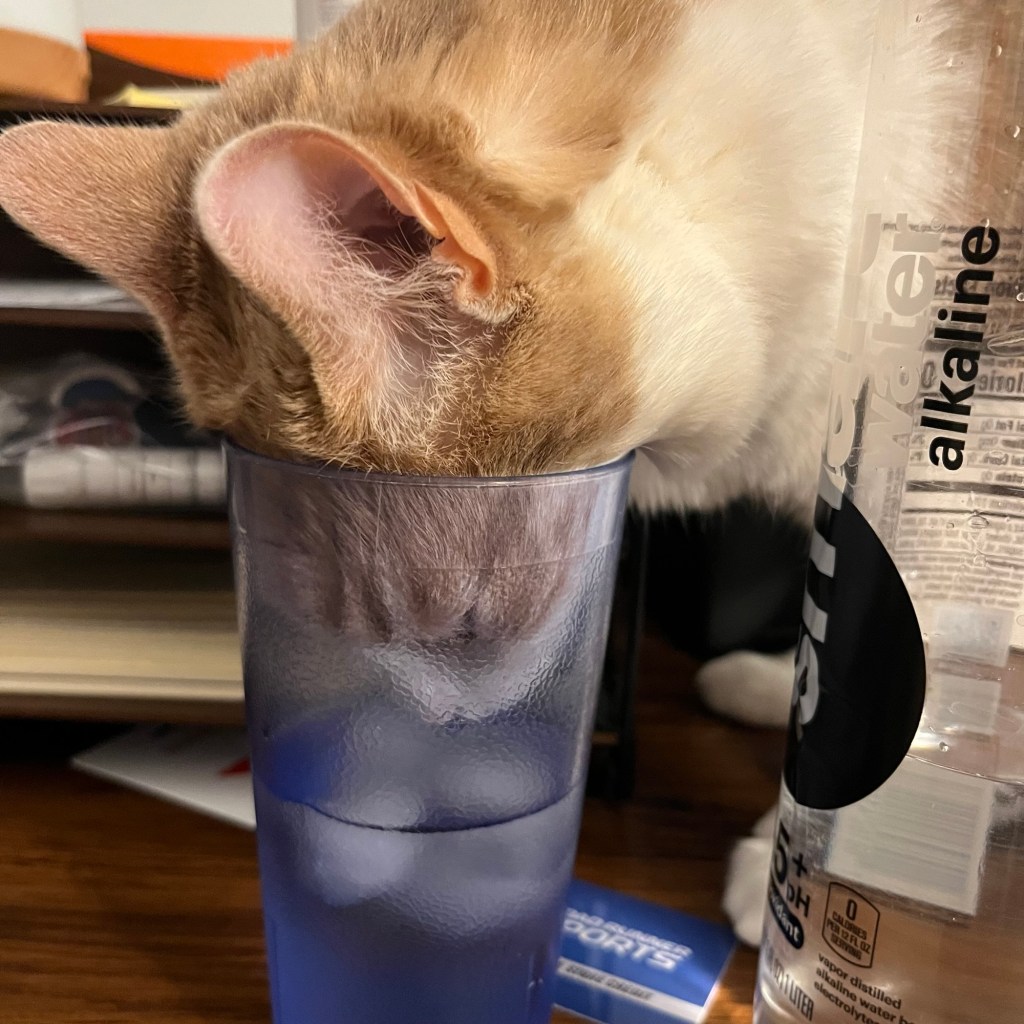 In Transit 4: time&nbsp;travel