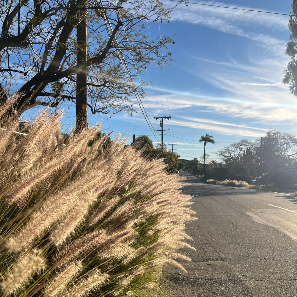 IT18: Pool – Stripped&nbsp;(Samia)